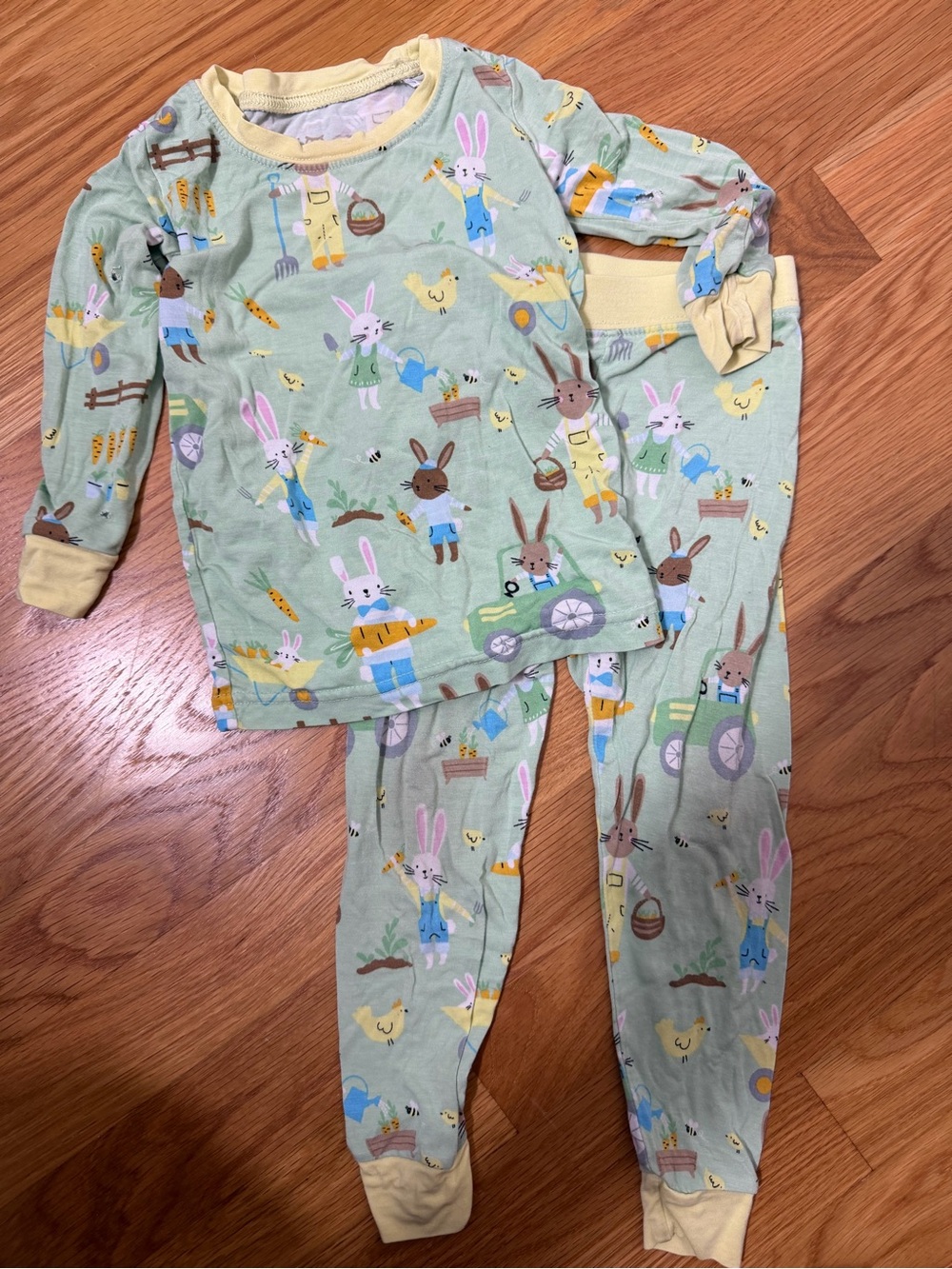 Little Sleepies Bamboo Viscose Pajama PJ Set Bunnies Easter Two Piece